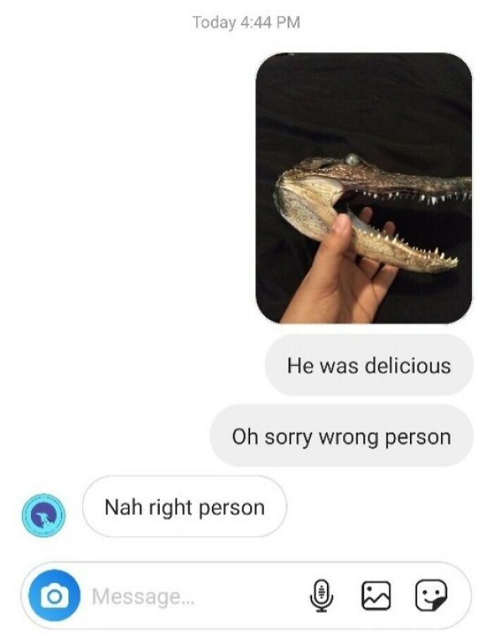 Text conversation with a funny message sent to the wrong recipient, featuring a photo of an alligator head.