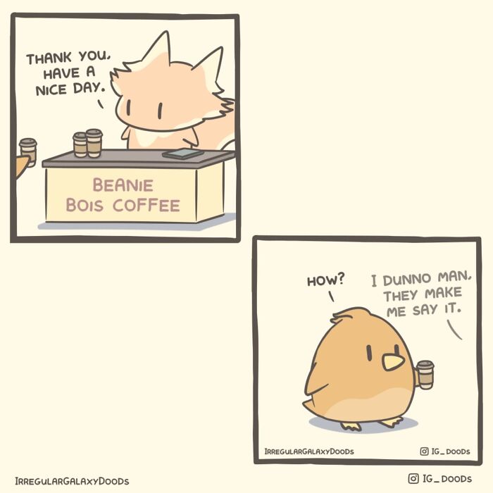 Pastel-colored comic by Irregular Galaxy Doods with a character at "Beanie Bois Coffee" and another puzzled about a phrase.
