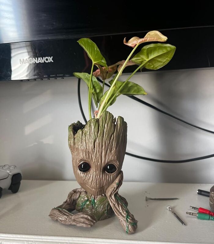 Cute Groot planter with leafy plant for indoor gardening essentials, placed in front of a TV.
