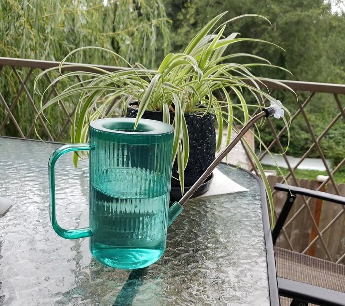 A spider plant on a glass table next to a turquoise watering can, showcasing indoor gardening essentials.
