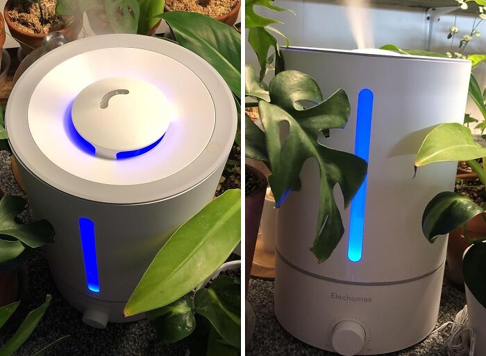 Humidifiers surrounded by green plants, enhancing indoor gardening essentials.