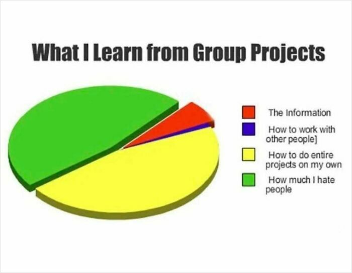 Pie chart humorously depicting workplace frustrations in group projects.
