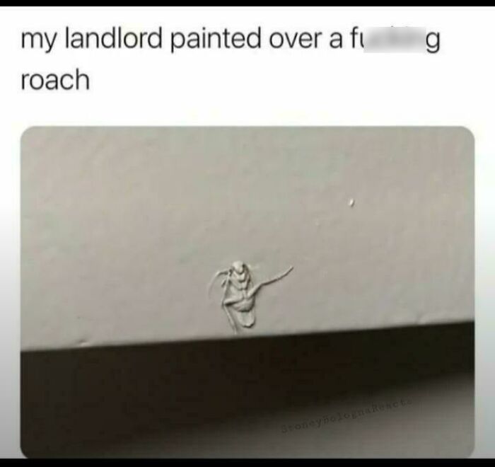 Funny meme of a painted-over roach on a wall, illustrating where laughter lives in unexpected home repairs.