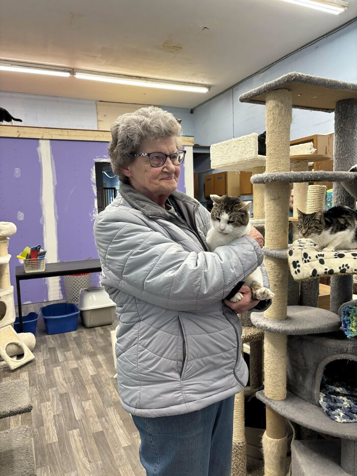 Senior woman at shelter holding adopted cat near cat tree, embodying pet adoption joy.