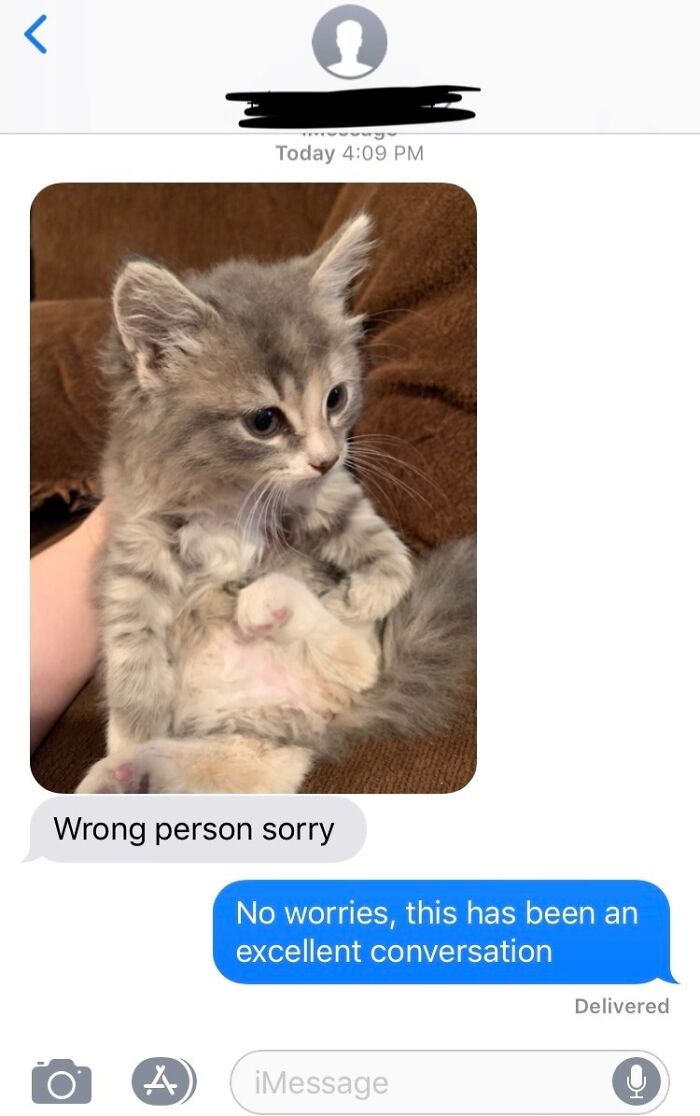 Text conversation with a cat photo mistakenly sent, labeled "Wrong person sorry." A funny wrong recipient message.