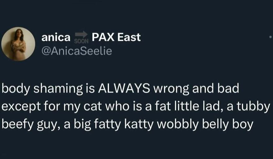 Funny meme about body shaming exceptions for a cat described humorously with playful adjectives.