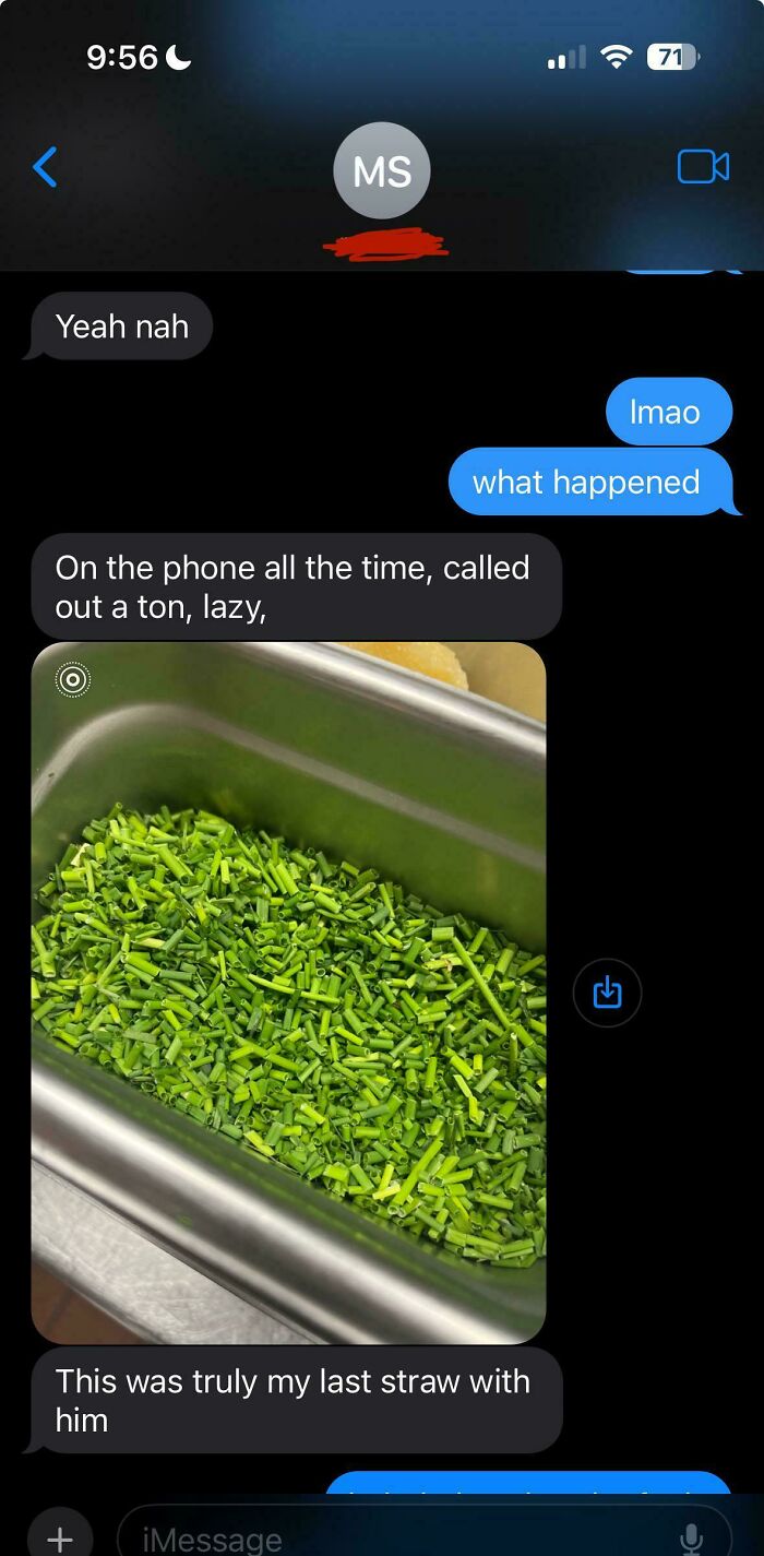 Text exchange about food service industry work frustrations, with image of chopped green onions.