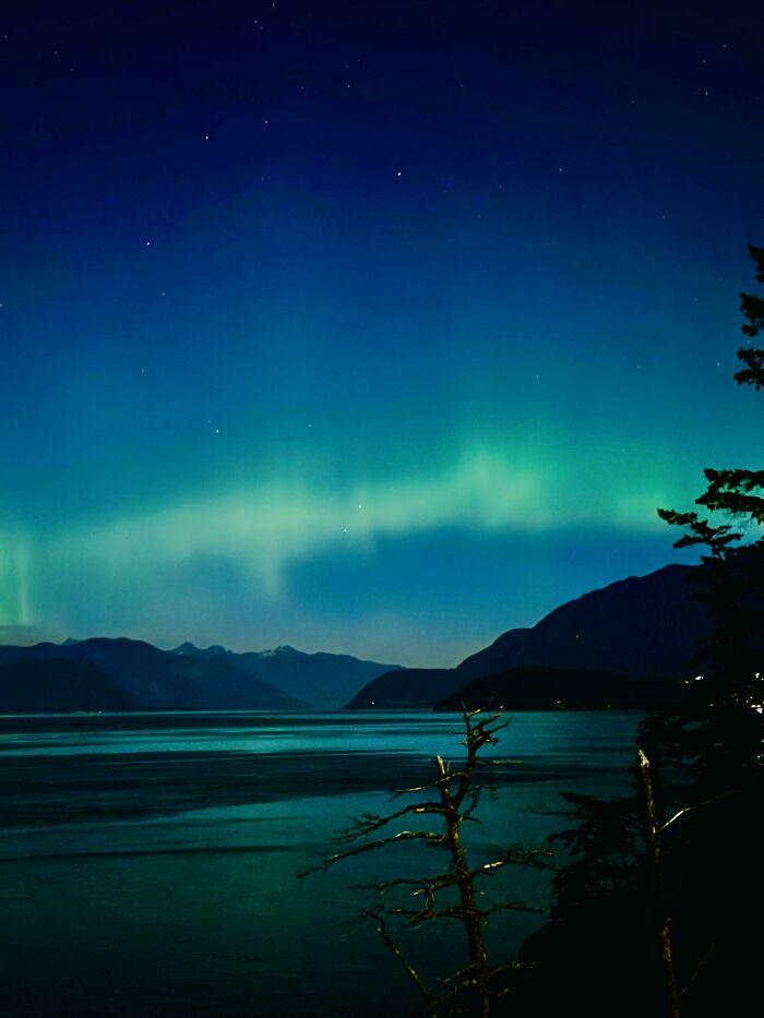 Northern lights glowing over a calm lake with mountains and trees at night in Canada’s natural landscape.