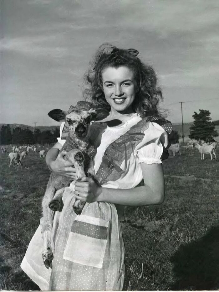 A woman in historical attire smiles while holding a lamb, surrounded by a field of sheep in a vintage setting.