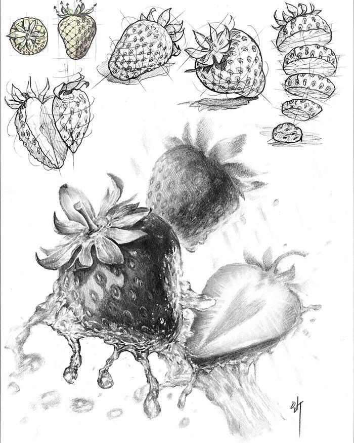 Hyper-realistic illustrations of strawberries by South Korean artist, showcasing various angles and intricate pencil details.