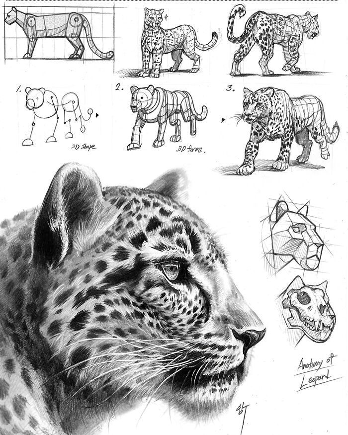 Hyper-realistic illustration of a leopard with detailed anatomical sketches by a South Korean artist.