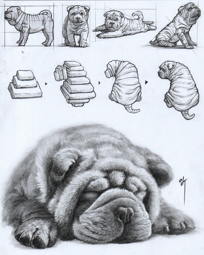 Hyper-realistic illustration of a Shar Pei dog, with design process sketches above.