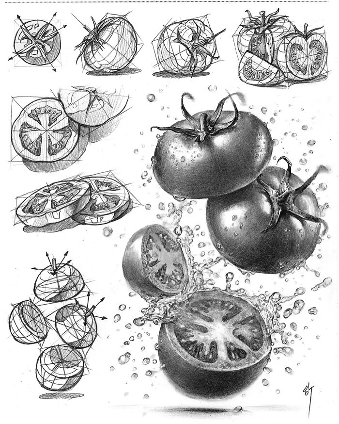 Hyper-realistic illustration of tomatoes in pencil, detailed with water droplets, showcasing an artist's skill.