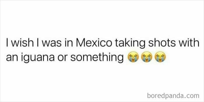 Girly meme text wishing to be in Mexico taking shots with an iguana, includes crying emojis.