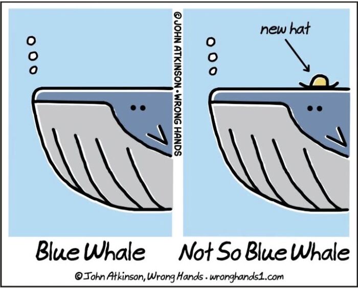 Comic by John Atkinson showing a blue whale and a "not so blue" whale with a new hat in humorous art.