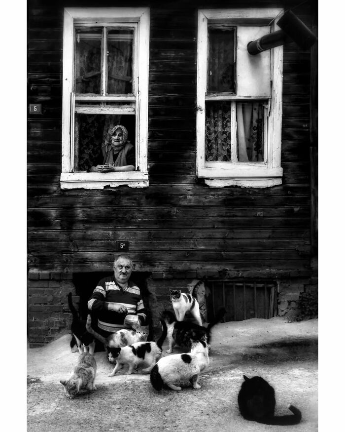 Black-and-white photo of rural Turkey with a man feeding cats outside and a woman looking out of a window.