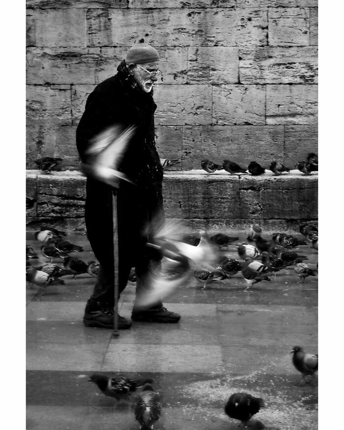 Elderly man with cane among pigeons in rural Turkey, captured in stunning black-and-white photography.