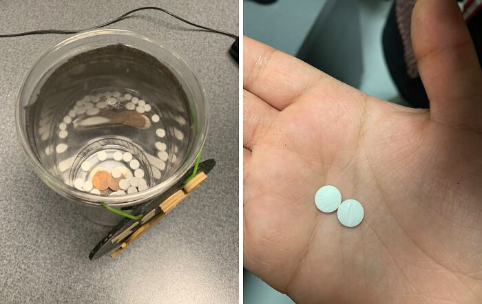 Empty tip jar with coins next to two white tablets in hand, illustrating mildly infuriating server tips.