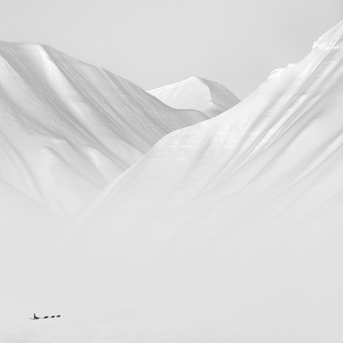 "Arctic Silence 5" By Patrick Ems
