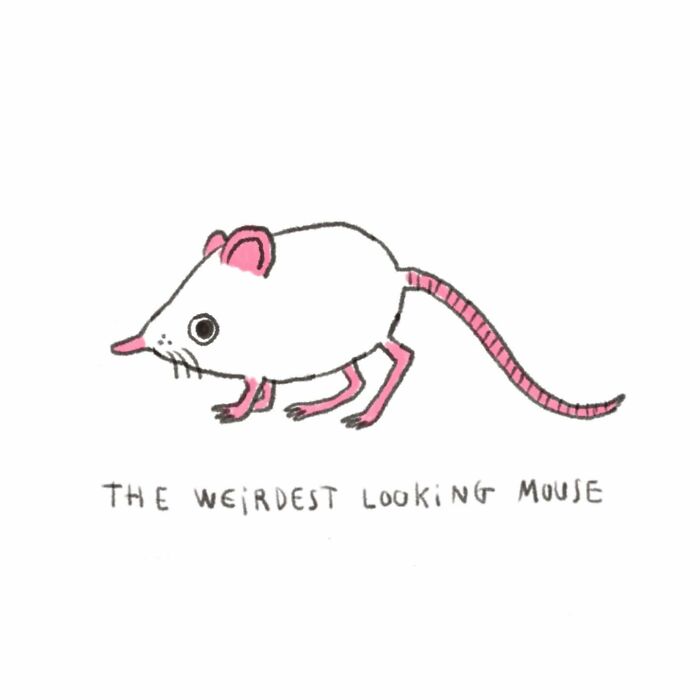 Illustration by tattoo artist depicting a quirky, wide-eyed mouse with pink ears and tail, labeled "The Weirdest Looking Mouse."