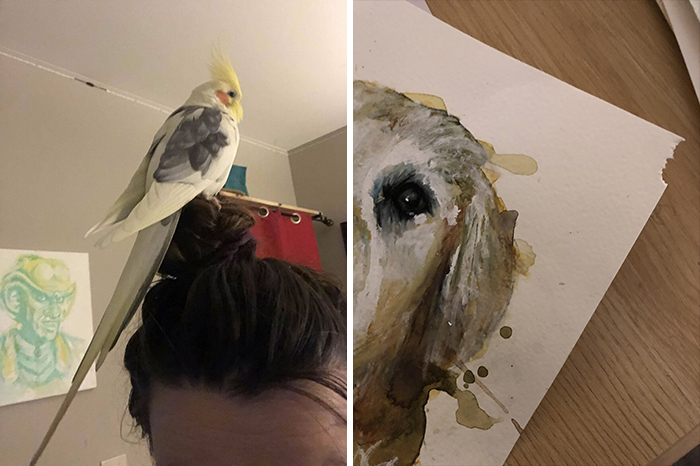 Bird perched on a person's head with damaged painting on table; bird being a jerk.