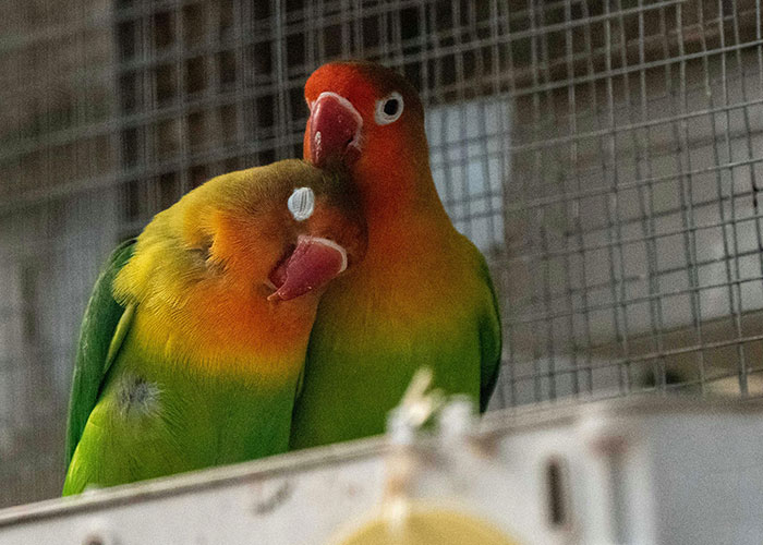 People With Impossibly Dumb Pets Share Their Stories, Here Are 45 Of The Most Unhinged Ones