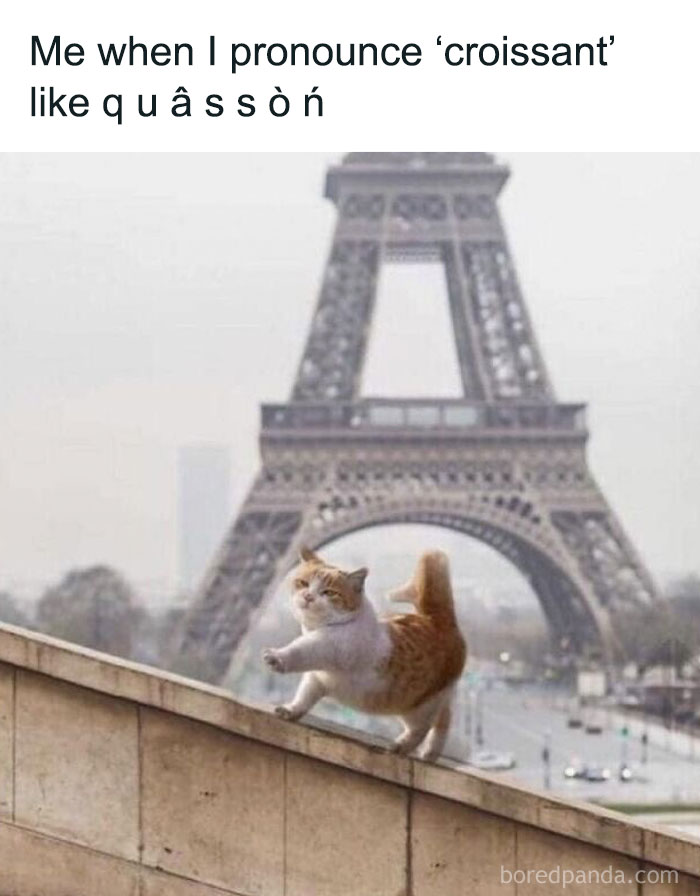 Cat walking confidently with Eiffel Tower background, humorously capturing positivity.