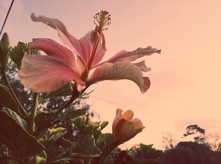 You Are Entitled To Your Opinion And I’m Entitled To Choose The Way I Live My Life.