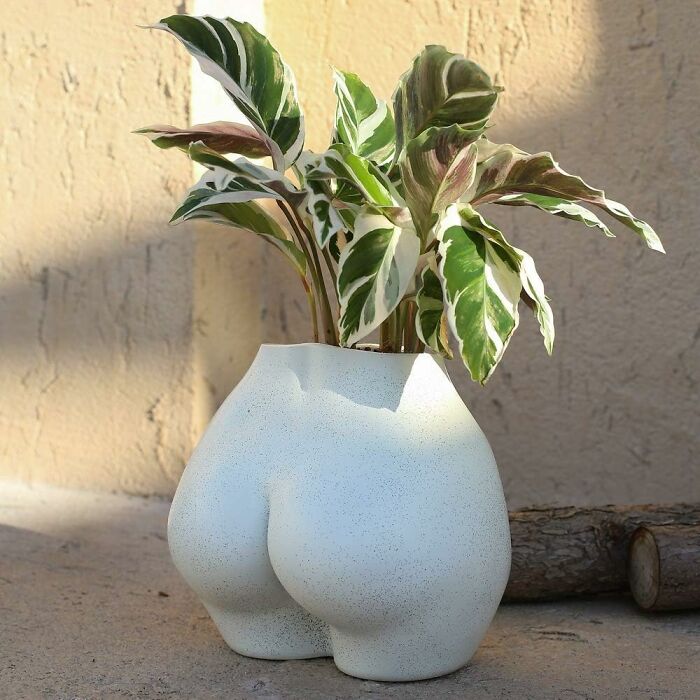 A unique b**t-shaped planter with green leaves, essential for indoor gardening.