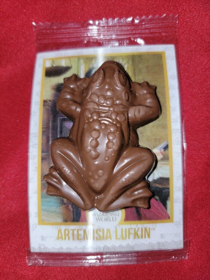 Chocolate frog snack resting on a colorful card, evoking whimsical curiosity.