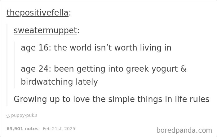 Social media post about finding joy in simple things, contrasting teenage angst with adult hobbies like Greek yogurt and birdwatching.