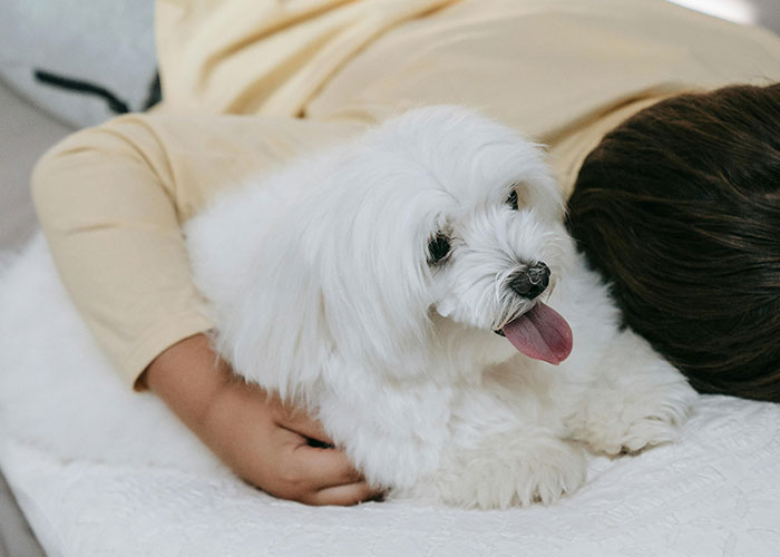 People With Impossibly Dumb Pets Share Their Stories, Here Are 45 Of The Most Unhinged Ones