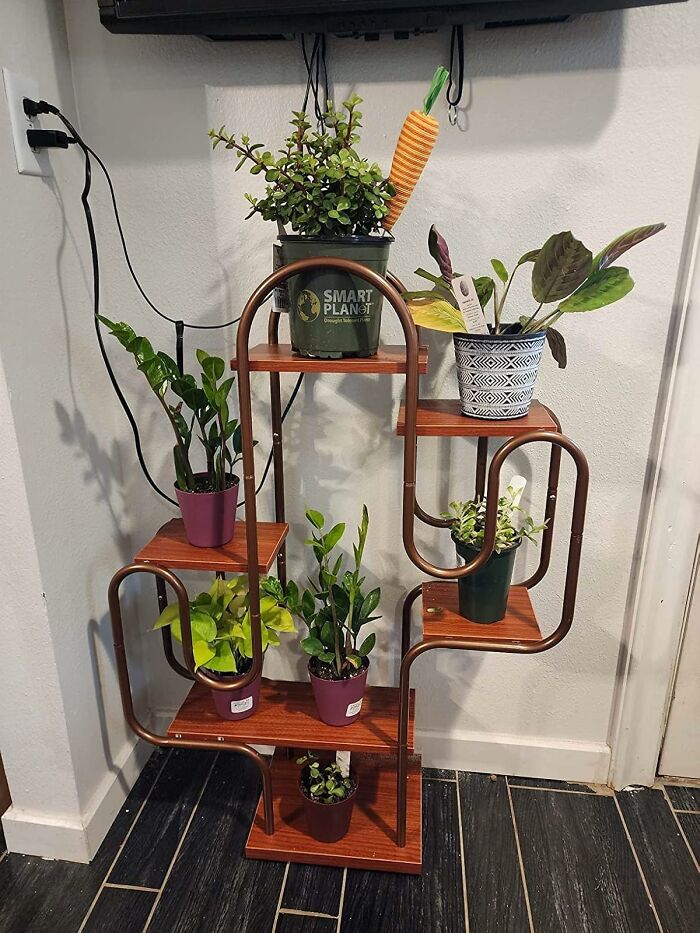 Indoor gardening essentials: A variety of potted plants arranged on a stylish wooden shelf unit against a wall.