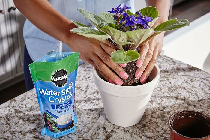 Hands tending to a potted plant with crystals on a countertop, showcasing indoor gardening essentials.