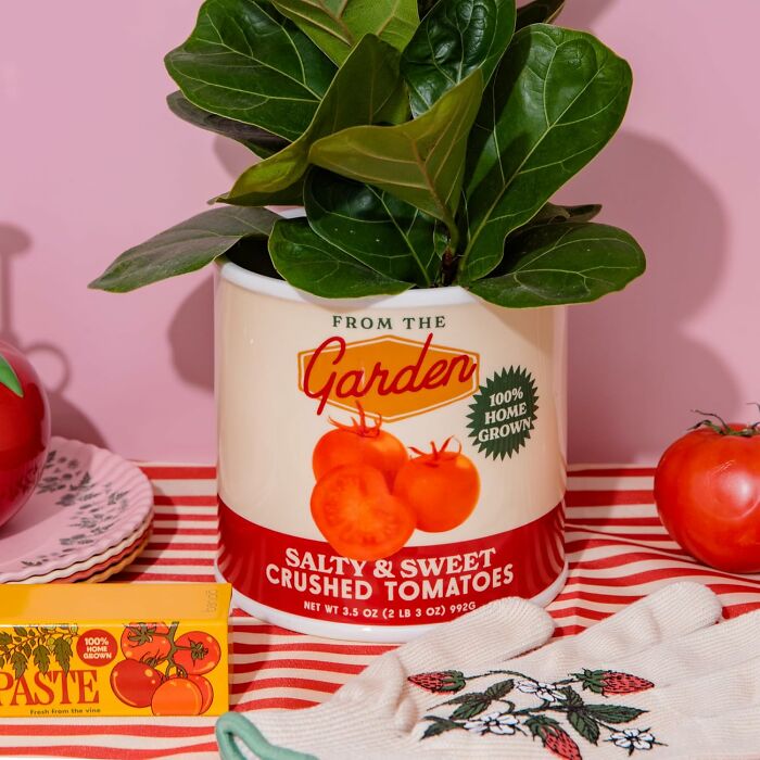 Bando planter styled as a can of crushed tomatoes with green plant and tomato-themed decor.