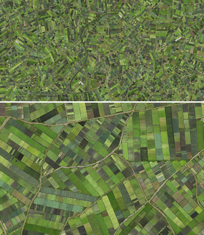 Aerial photo of vast green agricultural fields, showcasing immense scale.