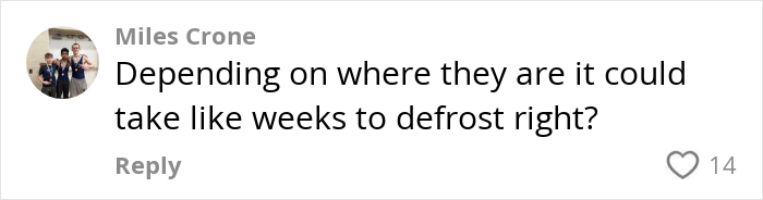Comment on Detroit neighborhood block of ice situation, discussing defrost time.