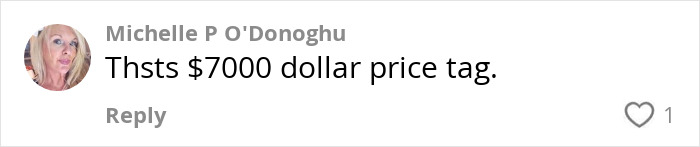 Comment about a $7000 price tag on a post related to Carrie Bradshaw's famous wedding dress.