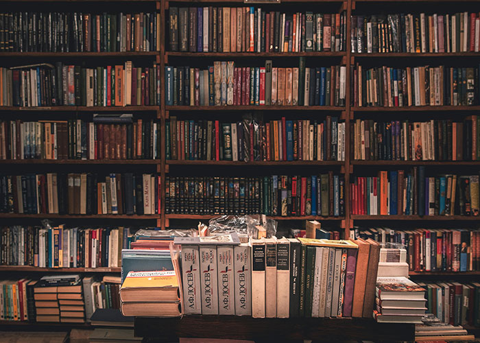 A cozy library with shelves filled with books, creating a wholesome atmosphere.