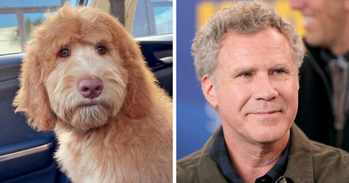 Here's Will Ferrell And Layla