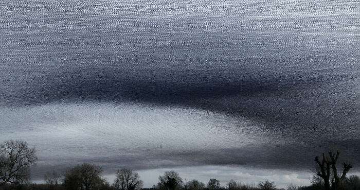 Migrating birds creating intricate patterns in the sky, captured by Kathryn Cooper.