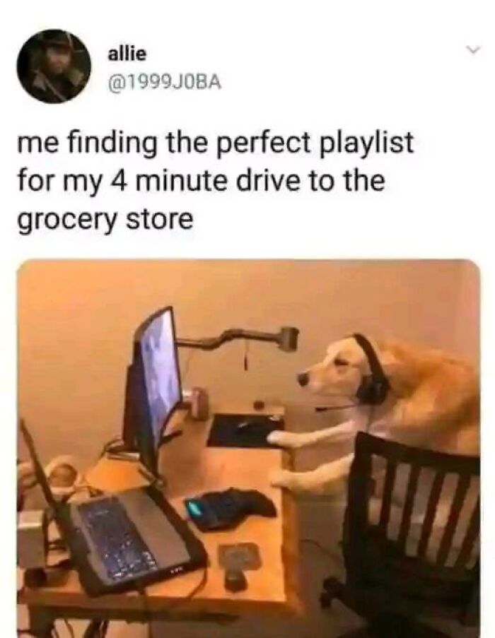 Dog with headphones at a desk, humorously representing finding the perfect playlist, uplifting meme on positivity.