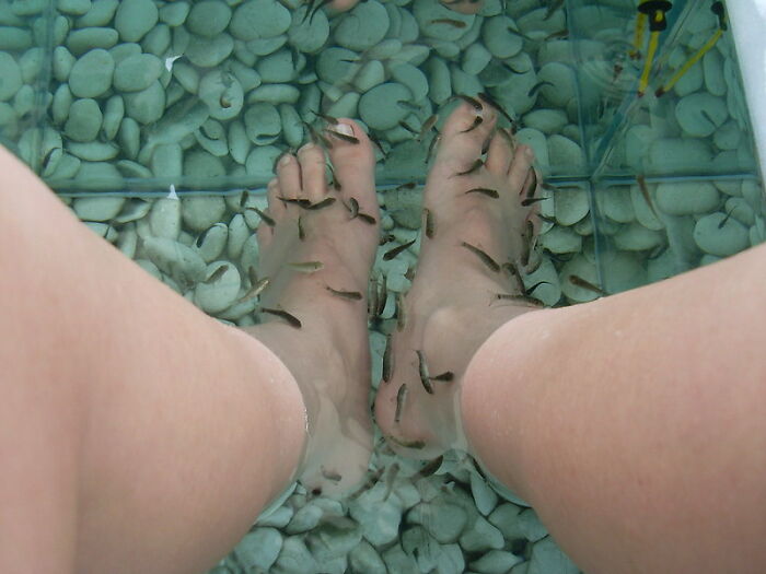 Feet in a fish spa with small fish nibbling, surrounded by stones.