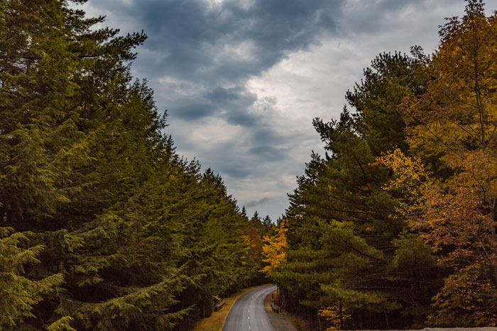 Winding road through lush forest under a cloudy sky, representing legendary American road routes.