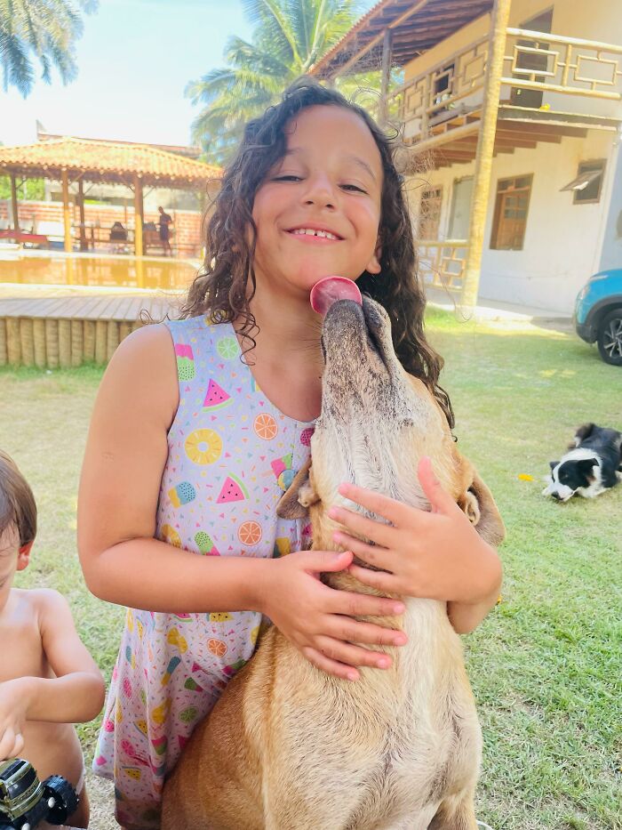 Girl smiling as Max, the rescued stray dog, affectionately licks her face in a backyard setting.