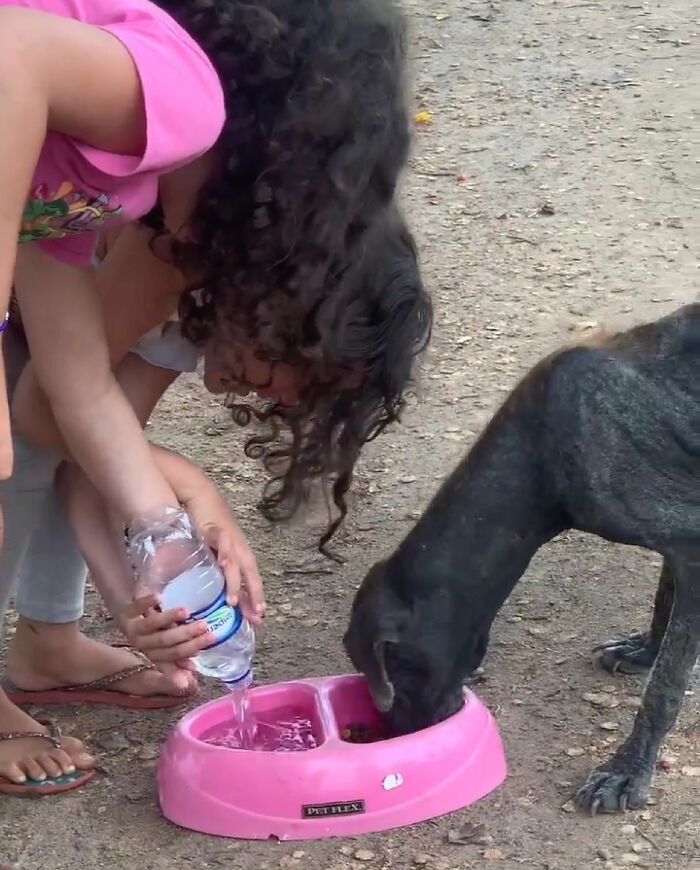 Child pouring water for rescued stray dog Max in a pink bowl.