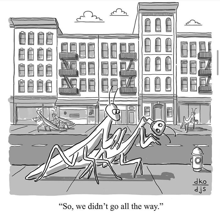 Insect couple in a city scene humorously portrays modern world absurdities in comic form.
