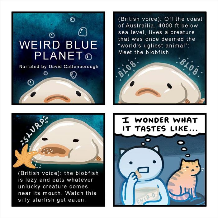 Comic featuring blobfish, with cat and person pondering its taste; a humorous moment by Kitty Moon.