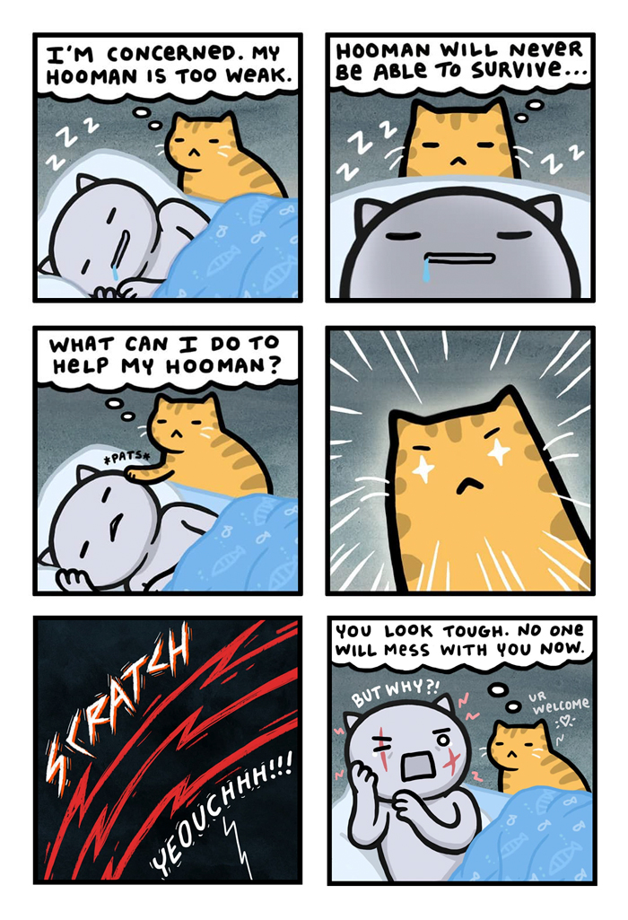 Cat worries about owner's weakness, scratches them to make them look tough, in a funny comic by Kitty Moon.