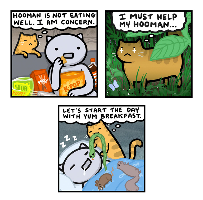 Comic of a concerned cat trying to feed its owner with funny antics, featuring leafy greens and odd breakfast choices.